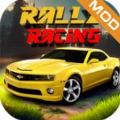 拉力赛车纳斯卡(Rally Racing)